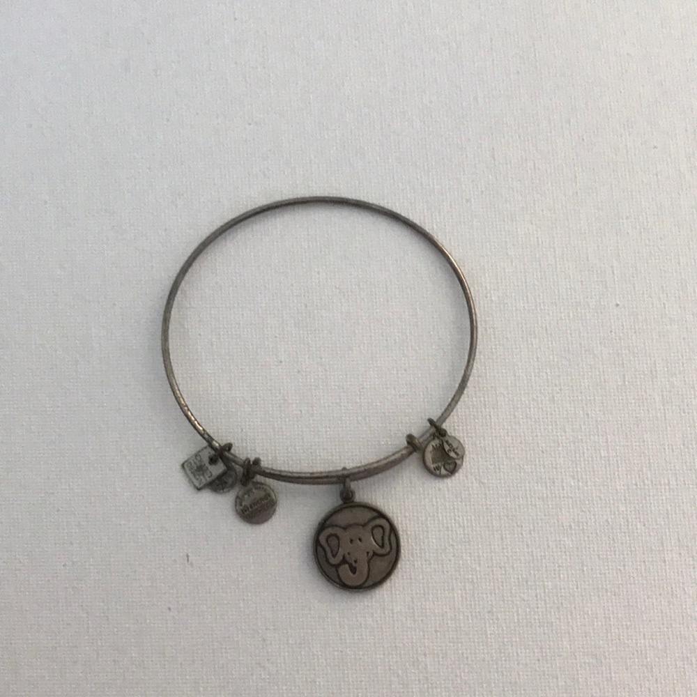 One Alex and Ani bracelet!